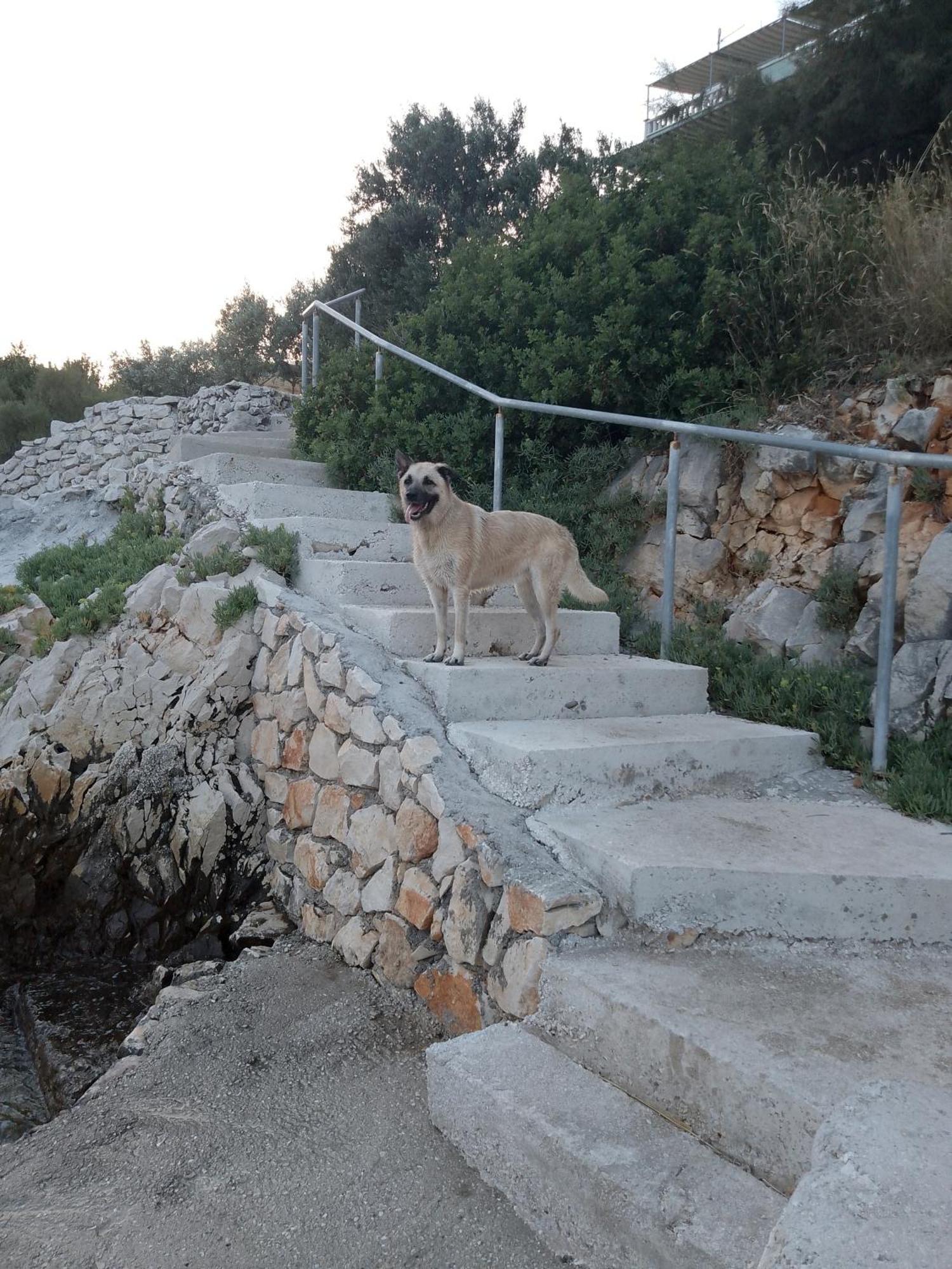 Villa Pinky And Superior Trogir Seget Vranjica Exterior photo
