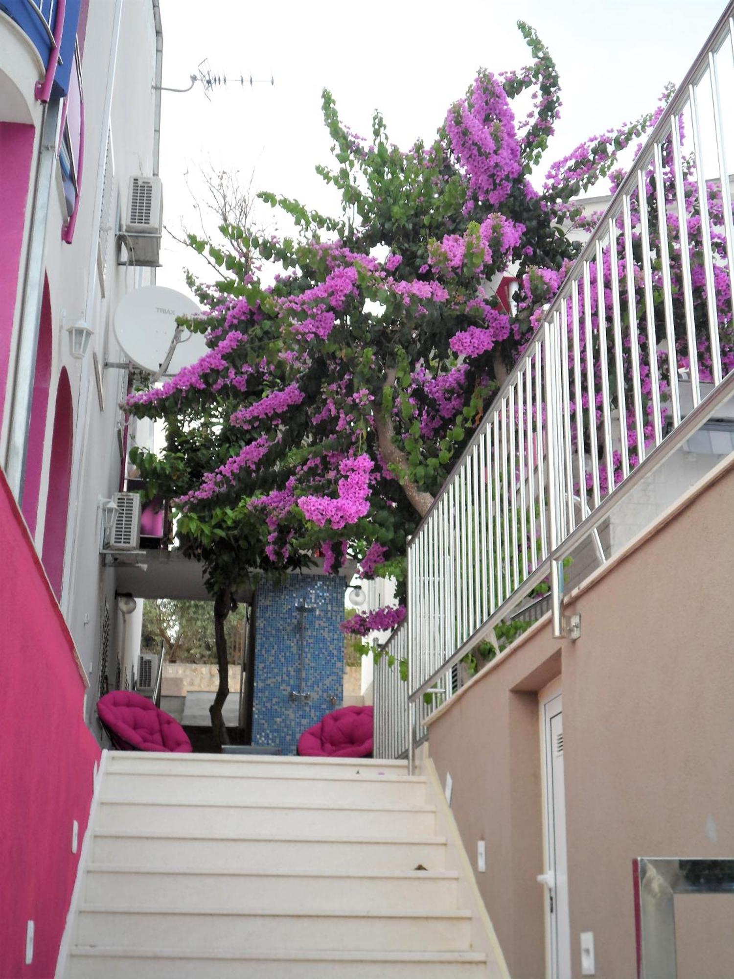 Villa Pinky And Superior Trogir Seget Vranjica Exterior photo